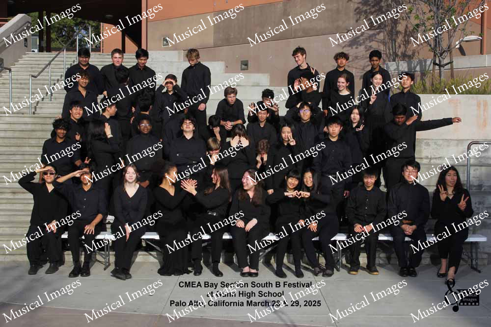 Musical Images